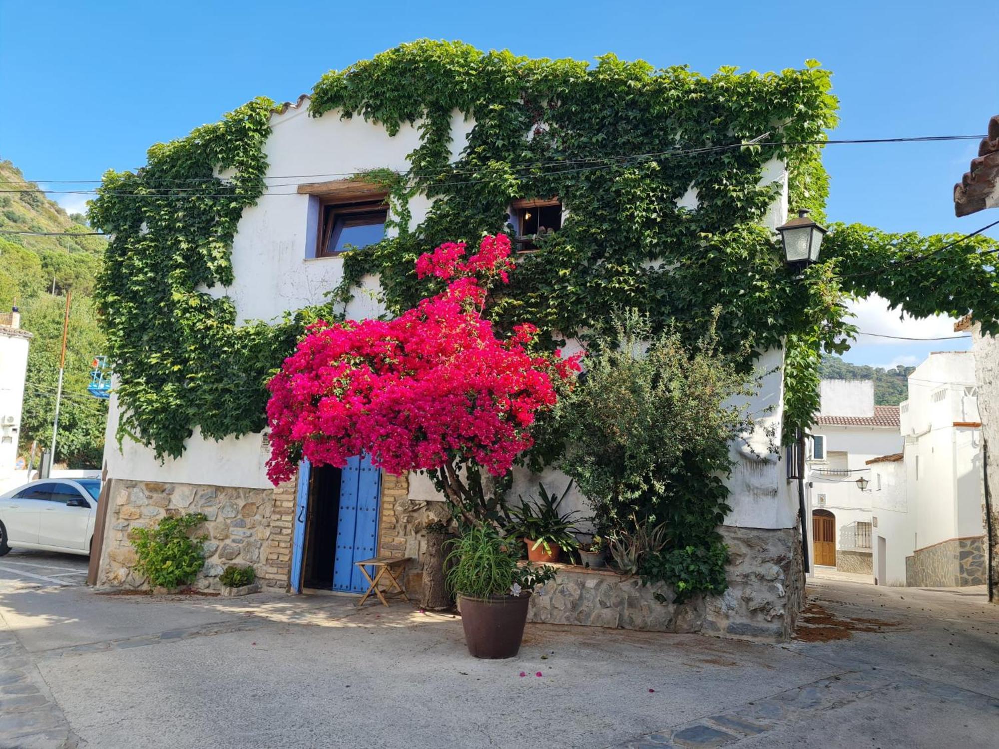 Benarrabá Casa La Yedra By Casaturisticaヴィラ エクステリア 写真