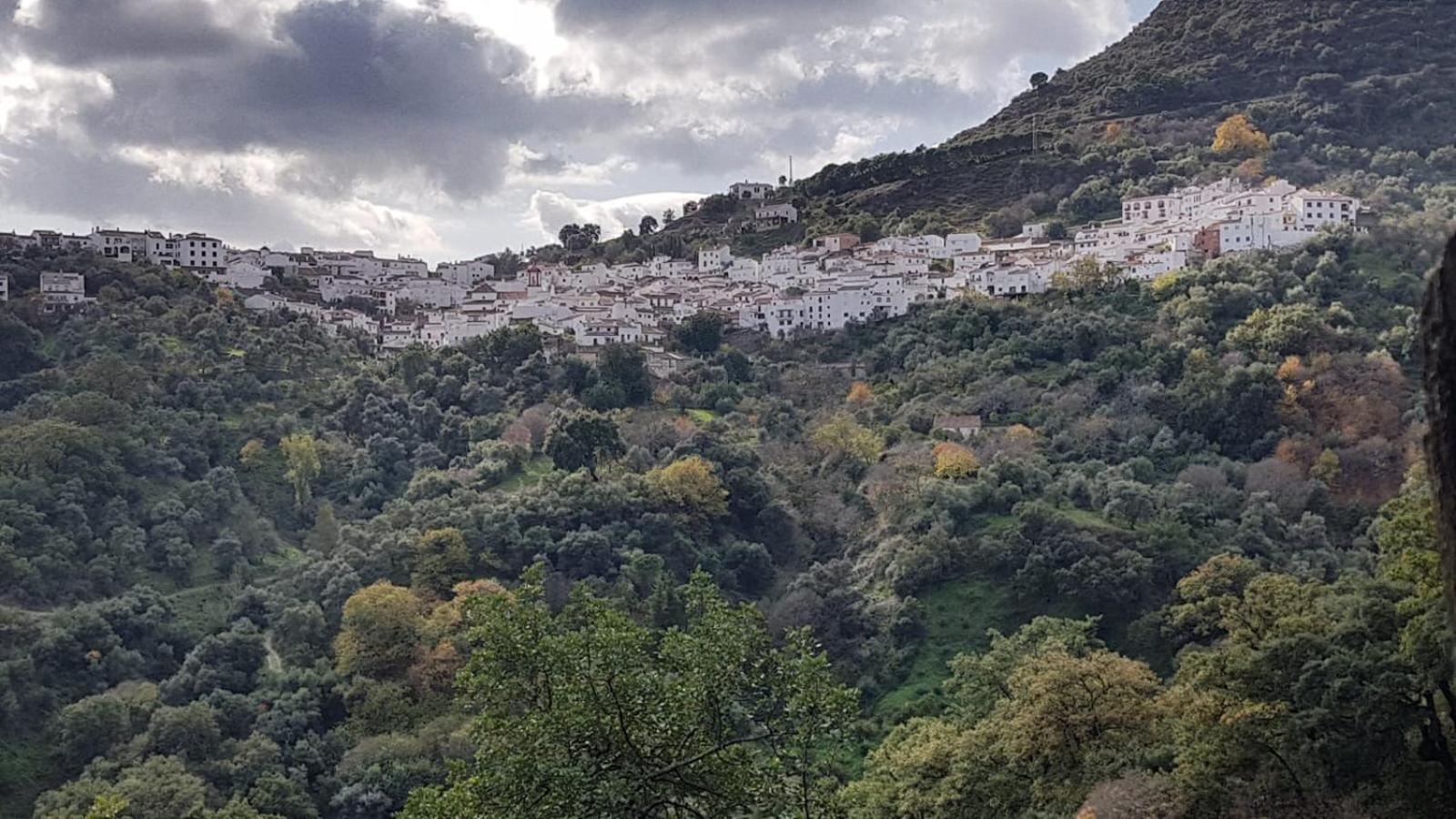 Benarrabá Casa La Yedra By Casaturisticaヴィラ エクステリア 写真